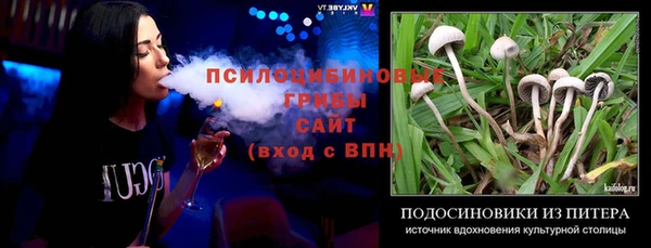 метадон Алексин