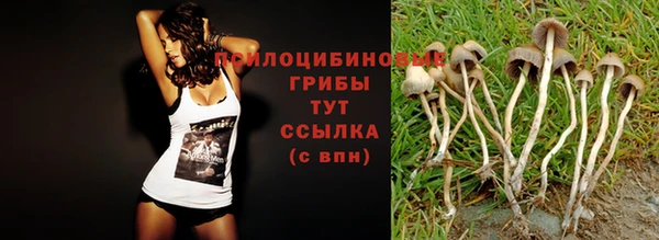 метадон Алексин