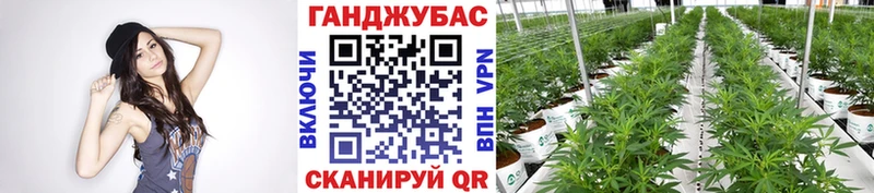 Шишки марихуана THC 21% Жигулёвск